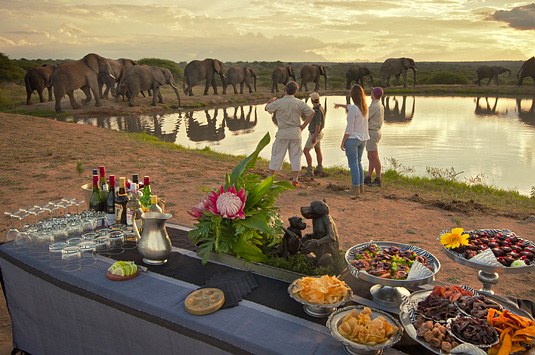 Camp Jabulani Elephant interaction Kapama Private Game Reserve Big 5 Greater Kruger Park South Africa