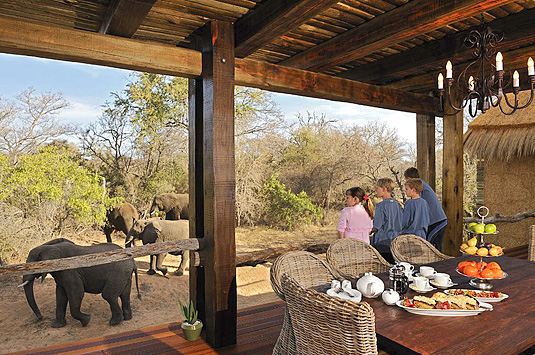 Private Zindoga Villa Deck Elephants Camp Jabulani Big 5 Kapama Private Game Reserve Greater Kruger South Africa