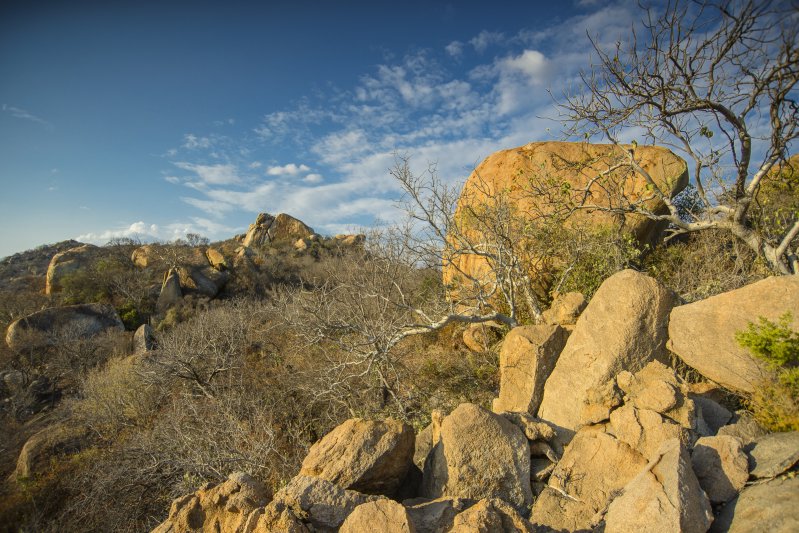 Boulders Safari Lodge - Kruger National Park Accommodation Bookings